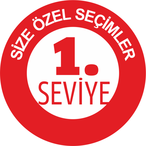 1.SEVİYE