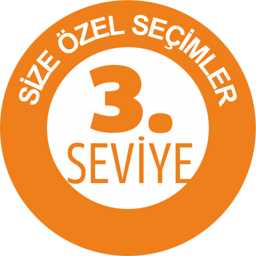 3.SEVİYE