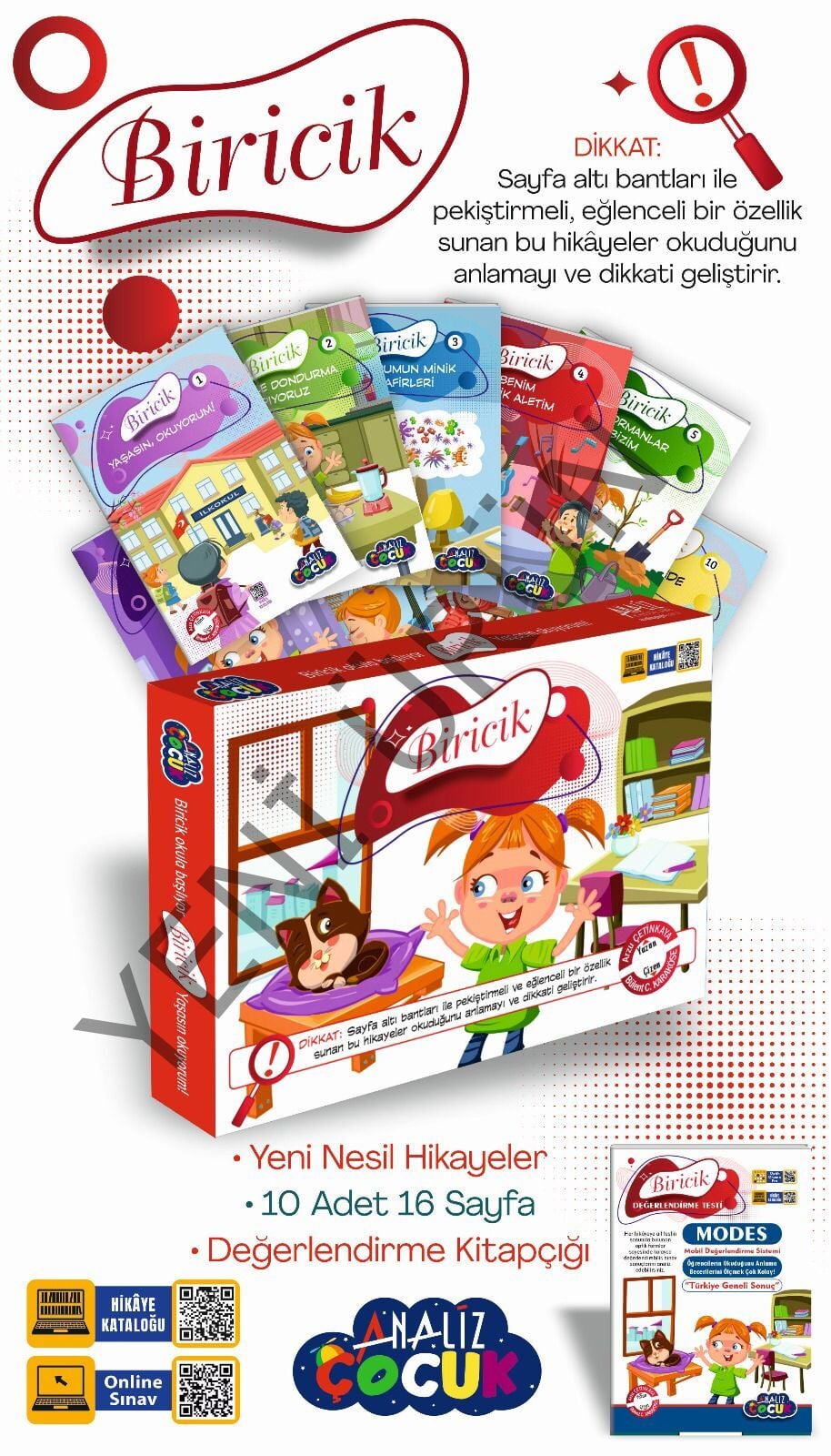 BİRİCİK SERİSİ HİKAYE SETİ 10 'LU BÜYÜK BOY